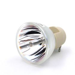 Ampoule VIEWSONIC pour Vidéo Projecteur Pro8300 - Lampe d'origine