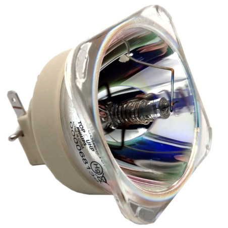 Ampoule BENQ HC1200 de Vidéoprojecteur - Lampe d'origine