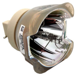 Ampoule CHRISTIE D12WU-H de Vidéoprojecteur - Lampe d'origine
