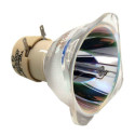 Ampoule pour Vidéoprojecteur PHILIPS UHP 220/260W 0.8 E20.9 - Lampe d\'origine