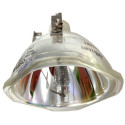 Ampoule pour Vidéoprojecteur EPSON EB-C754XN - Lampe d\'origine