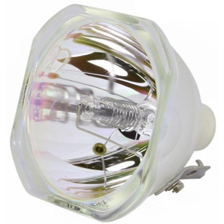 Ampoule pour Vidéoprojecteur EPSON EB-955W - Lampe d'origine Ampoule pour Vidéoprojecteur EPSON EB-955W - Lampe d'origine