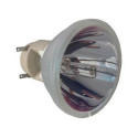 Ampoule OPTOMA HD143X de Vidéoprojecteur - Lampe d\'origine