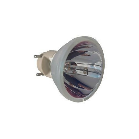 Ampoule OPTOMA pour Vidéo Projecteur HD300D - Lampe d'origine