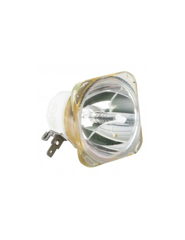 Lampe Eiki pour Vidéoprojecteur LC-WB42N