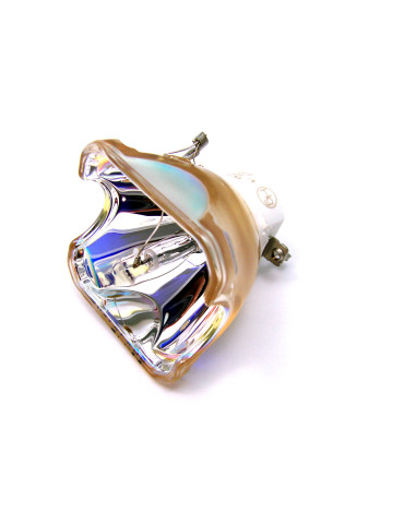 Lampe NEC pour Vidéoprojecteur NP905G