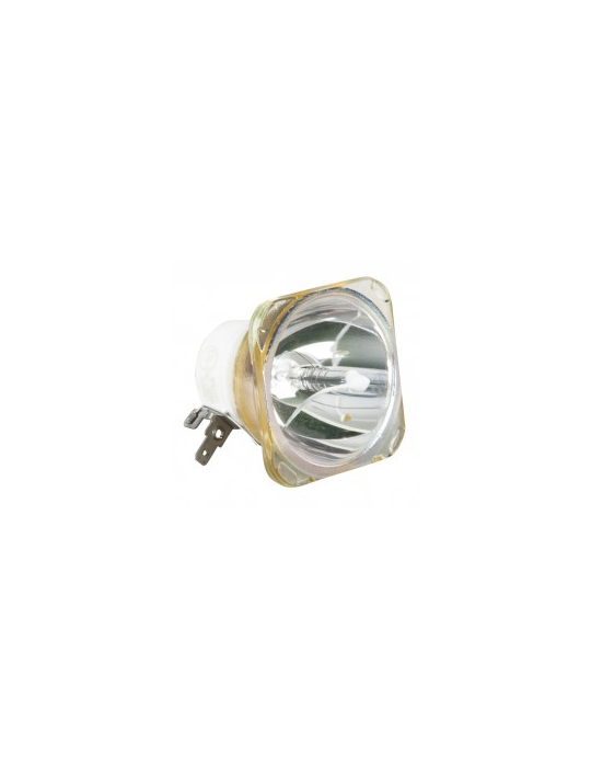 Lampe Sanyo pour Vidéoprojecteur PLC-WU3800 Lampe Sanyo pour Vidéoprojecteur PLC-WU3800