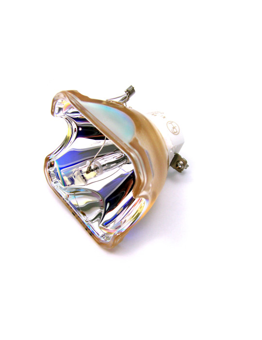 Lampe NEC pour Vidéoprojecteur VT800G