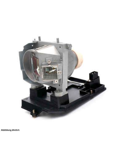 Lampe NEC pour Vidéoprojecteur NP-U300X