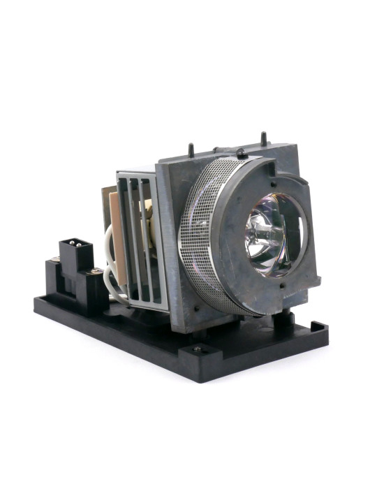 Lampe Optoma pour Vidéoprojecteur W319UST