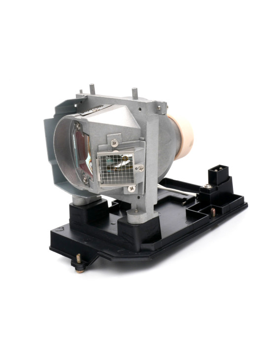 Lampe NEC pour Vidéoprojecteur NP-U310W+