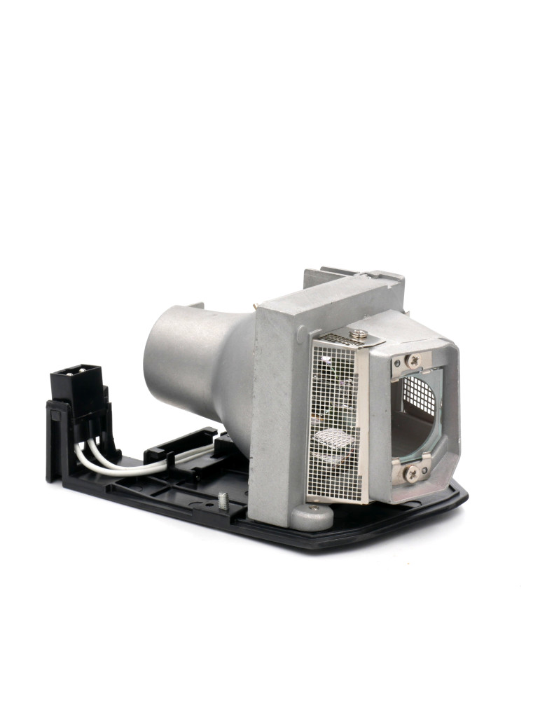 Lampe Sanyo pour Vidéoprojecteur PDG-DWL100