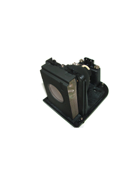 Lampe OPTOMA pour Vidéo Projecteur H79 - Ampoule d'origine Lampe OPTOMA pour Vidéo Projecteur H79 - Ampoule d'origine