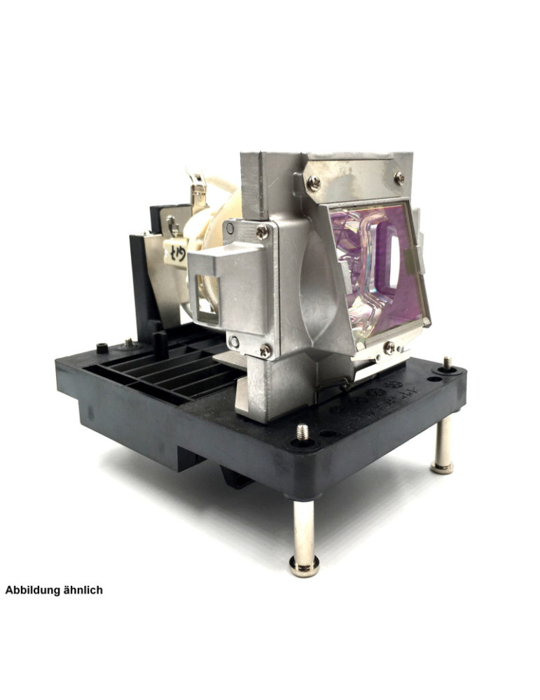 Lampe EIKI EIP-UHS100 de Vidéoprojecteur - Ampoule d'origine