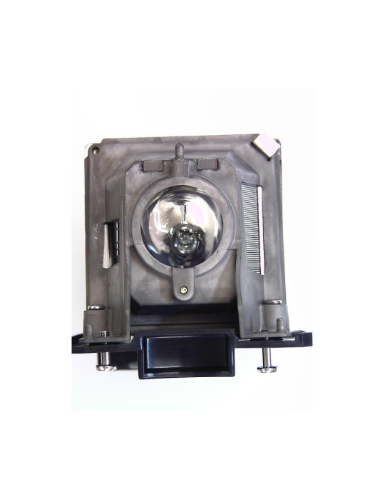 Lampe NEC pour Vidéo Projecteur V311X - Ampoule d'origine