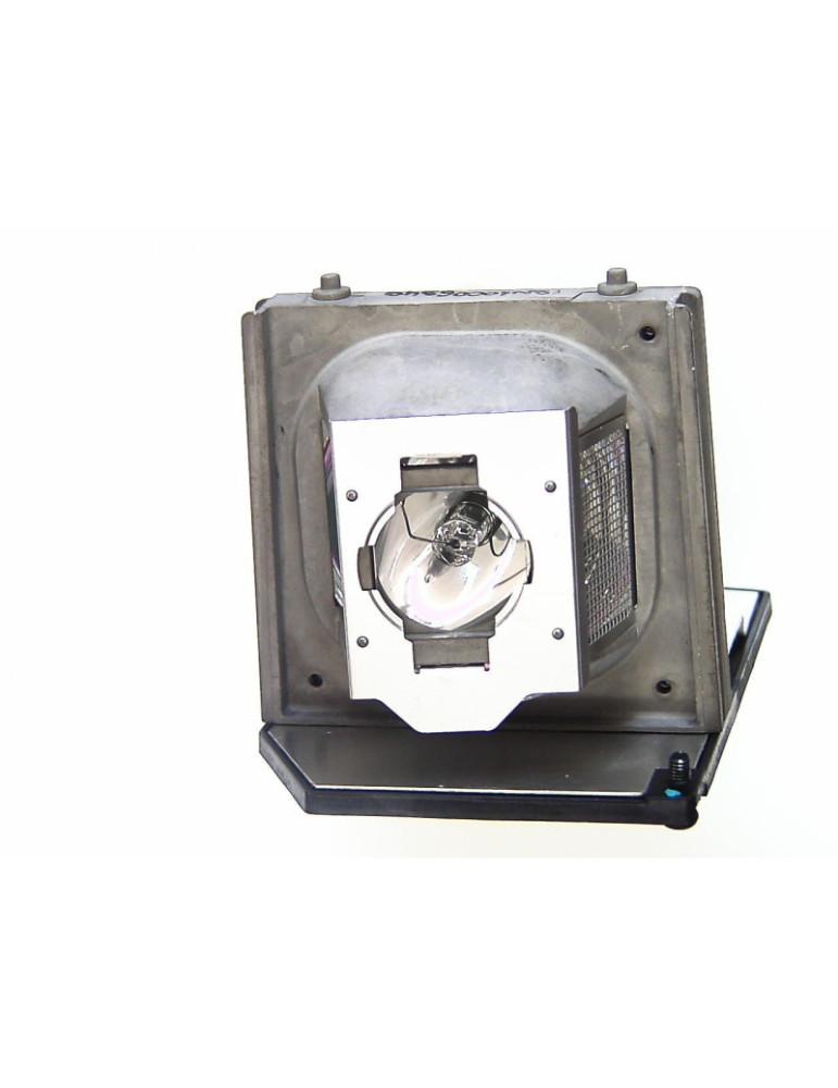 Lampe OPTOMA pour Vidéo Projecteur DX608 - Ampoule d'origine