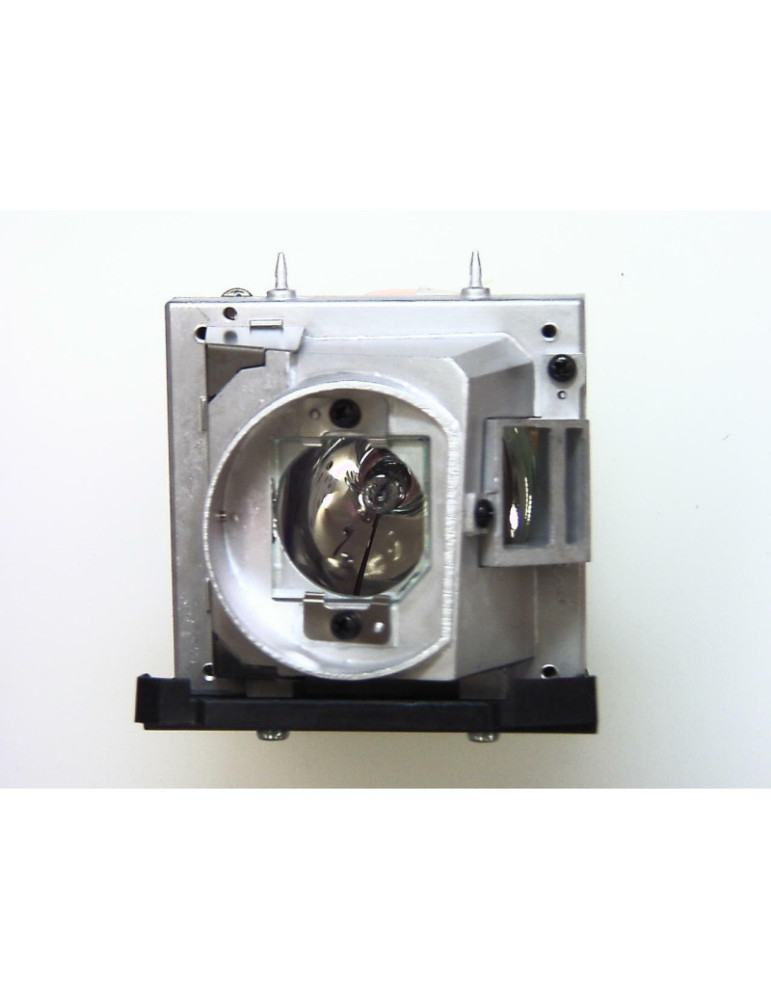 Lampe OPTOMA pour Vidéo Projecteur TW766W - Ampoule d'origine