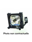 Lampe OPTOMA pour Vidéo Projecteur DS346 - Ampoule d\'origine