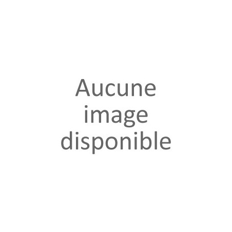 Ampoule pour Vidéoprojecteur EPSON...